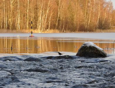 Йоутса (Joutsa)