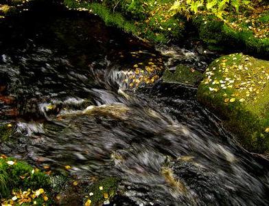 Рыбалка на порогах реки Multianjoki