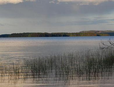 Рыбалка на озере Saarijärvi (в Jalasjärvi, Южная Остроботния)