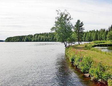 Campsite Montta-active camping - 3х звездочный кемпинг расположенный на реке. Бар, рыбалка, пляж, каноэ, байдарки, лодки, сауна, банкетный зал и многое др.