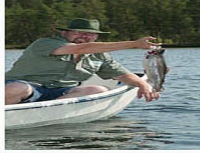 Valkeisjärven leirintäalue - Yli-lesti, lestijärvi-4х звездочный кемпинг расположенный на озере. Рыбалка (сиг, щука, окунь, хариус), пляж, сауна, волейбол, лодки, фризби-гольф, караоке, детская площадка, верховая езда, торфянные ванны и мно